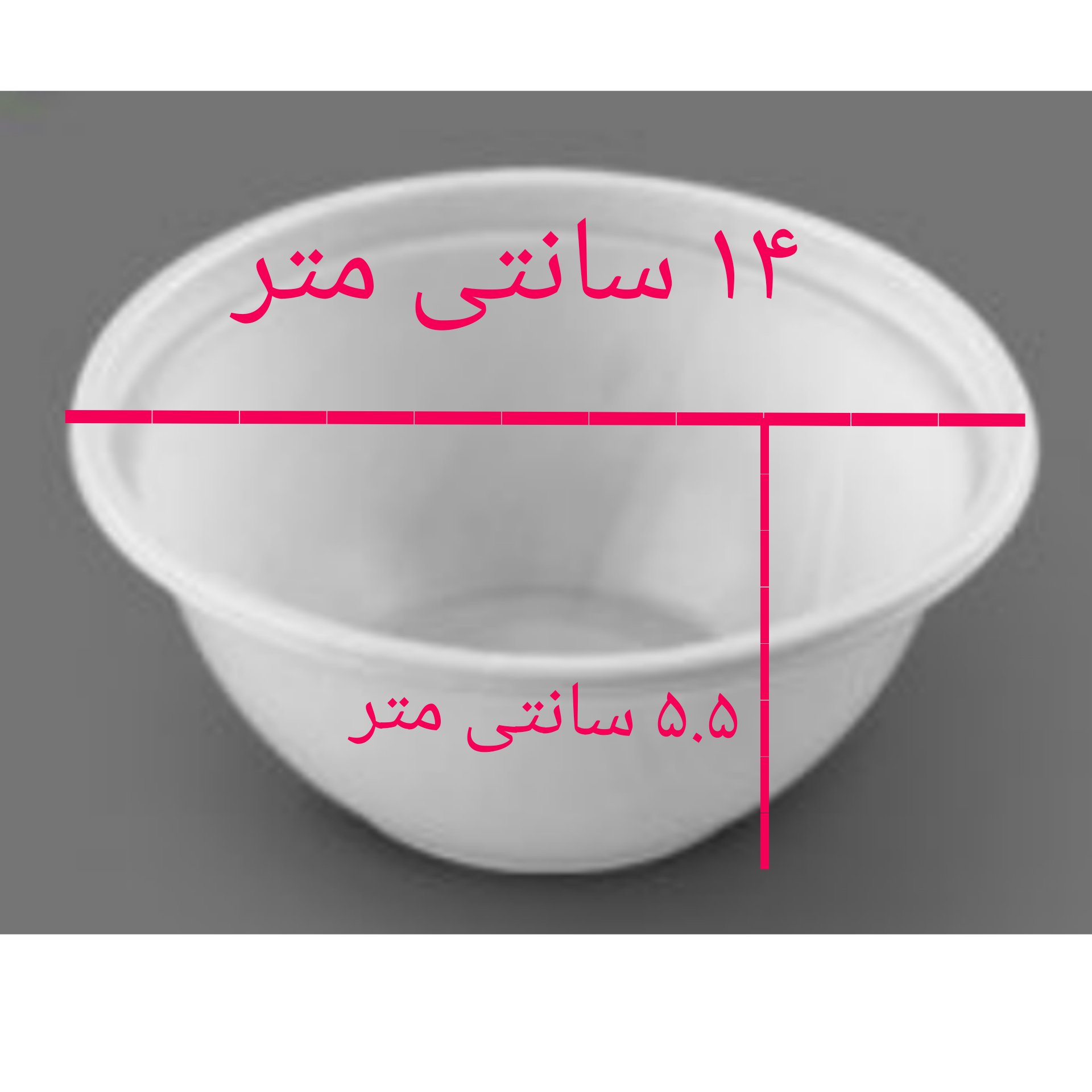 بسته 10 عددی ظرف یکبار مصرف