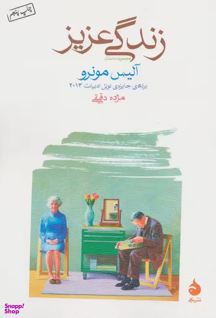کتاب مجموعه داستان زندگی عزیز اثر آلیس مونرو نشر ماهی