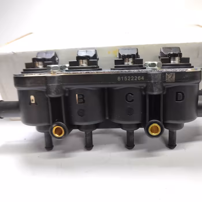 ریل  سوخت   لندی  رنزو   اصلی   مخصوص خودرو تیبا و سمند 