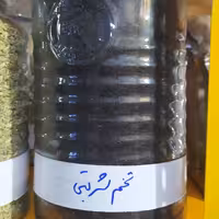 تخم شربتی درشت 300 گرم 