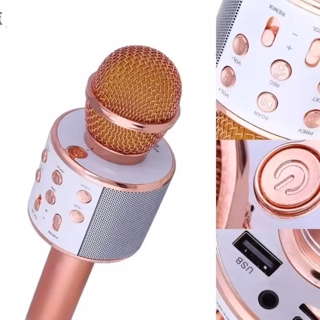 اسپیکر میکروفونی