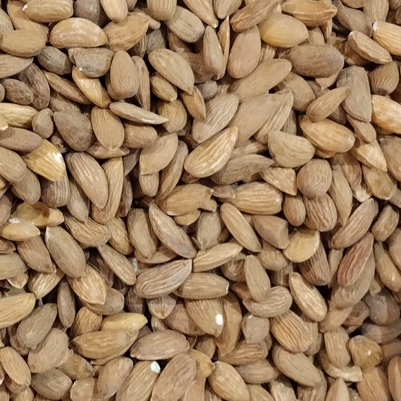 بادام درختی ایرانی خام (ریز) یک کیلو گرمی