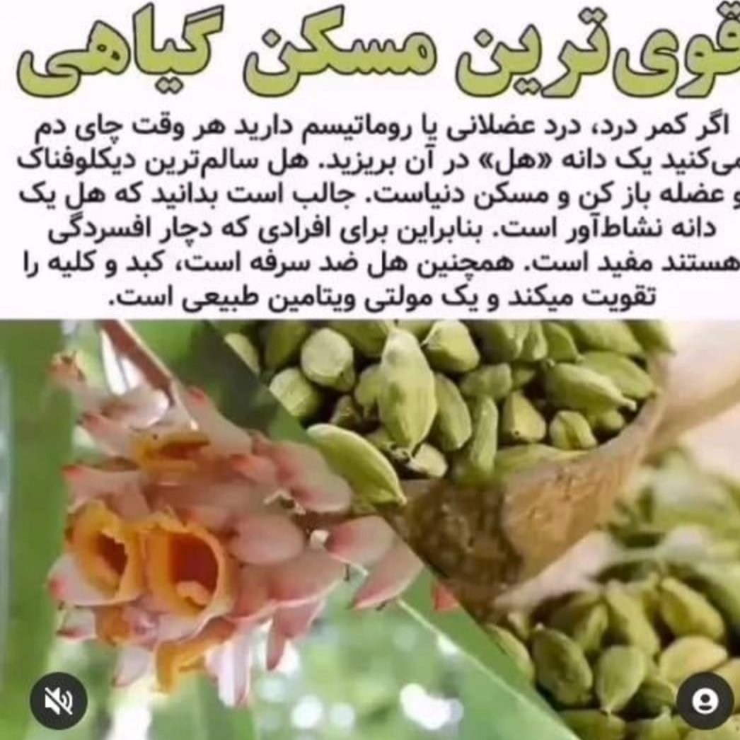 هل چای