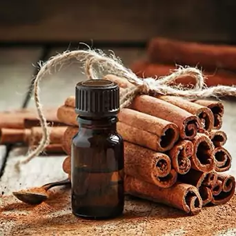 روغن دارچین تسکین درد عضلات | amazonchi