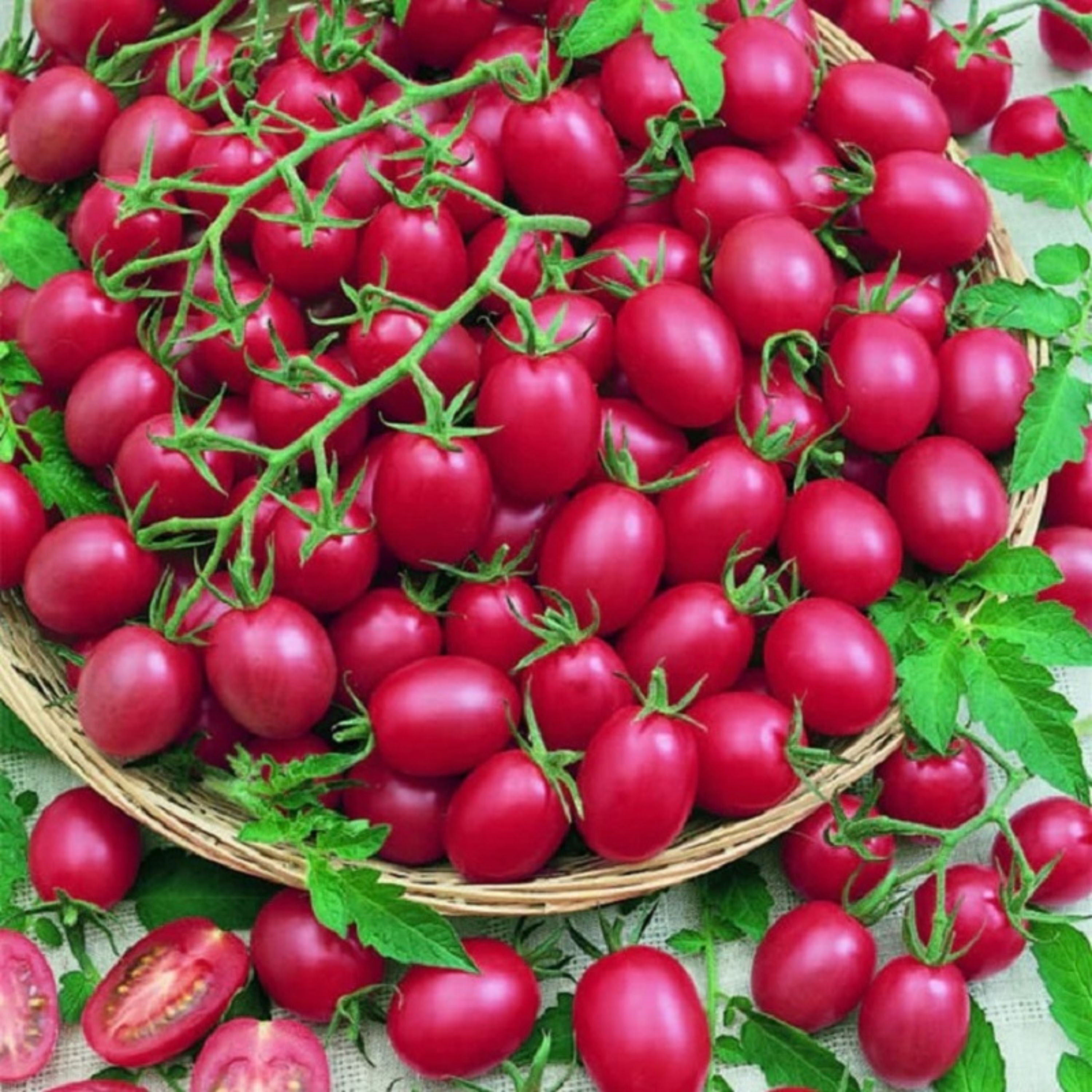 بذر گوجه چری صورتی درختی