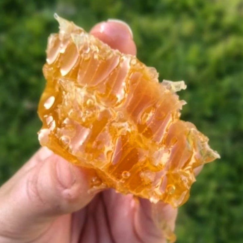 عسل موم دار طبیعی