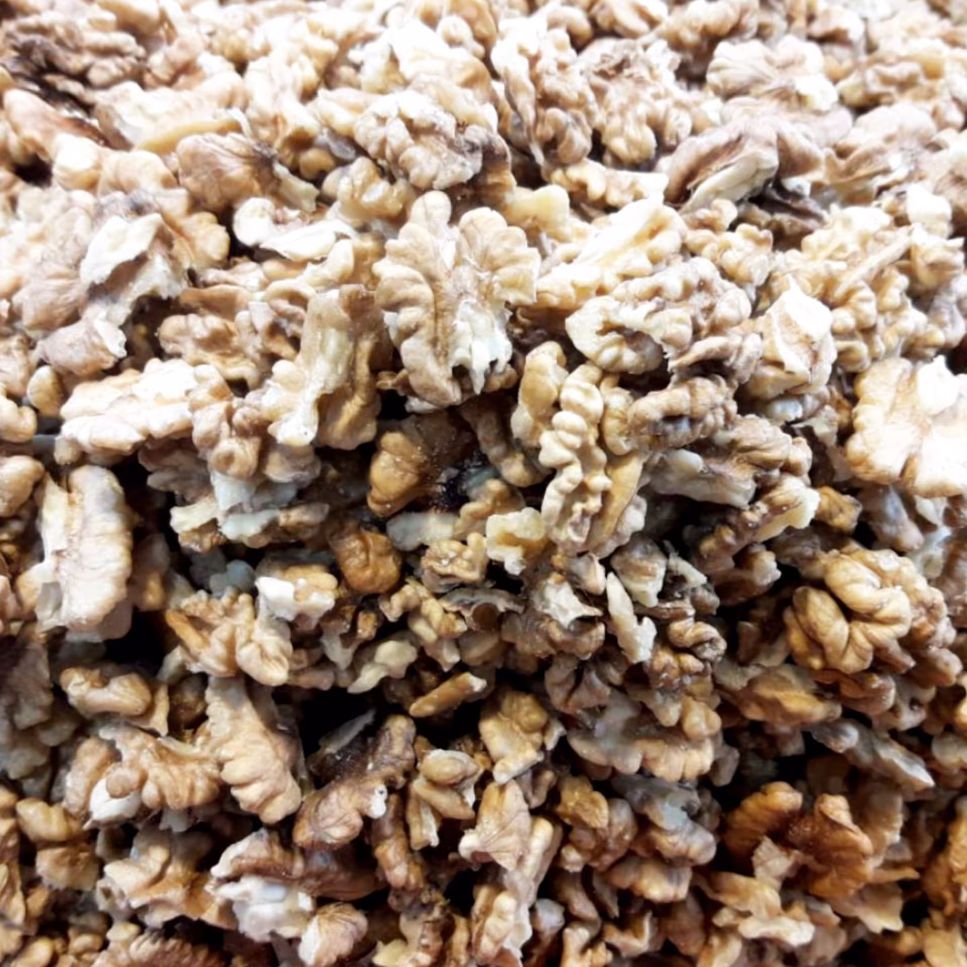 مغز گردو خورشتی