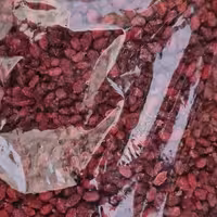 زرشک خشک وقرمزامسالی