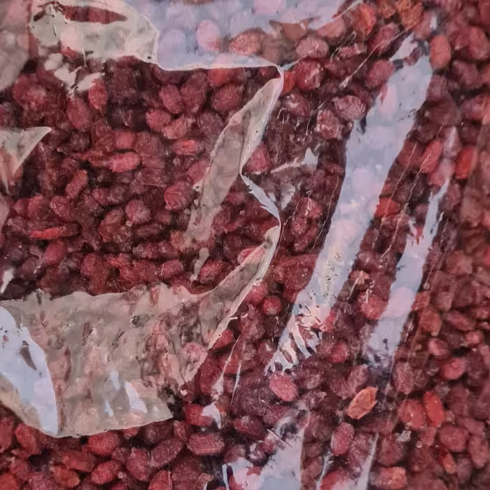 زرشک خشک وقرمزامسالی