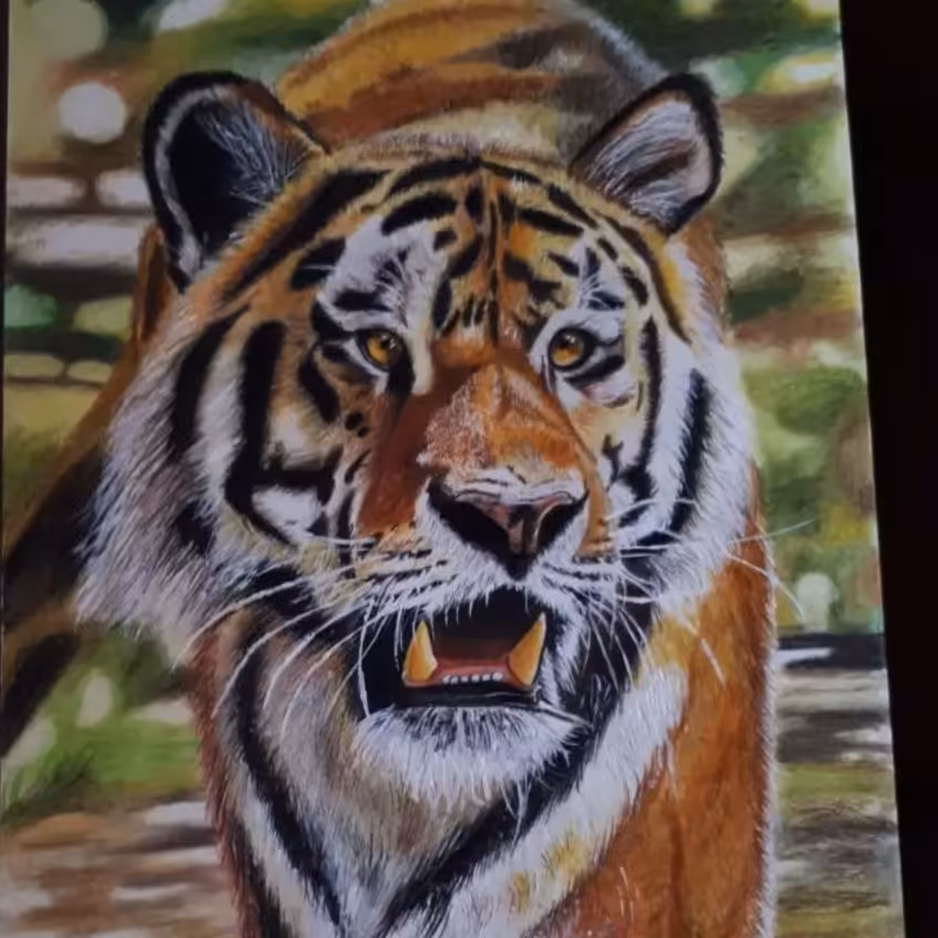 نقاشی  مداد رنگی