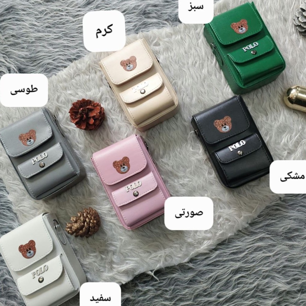 کیف پاسپورتی تدی