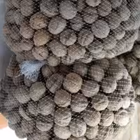 گردو ایرانی ( بسته نیم کیلو )