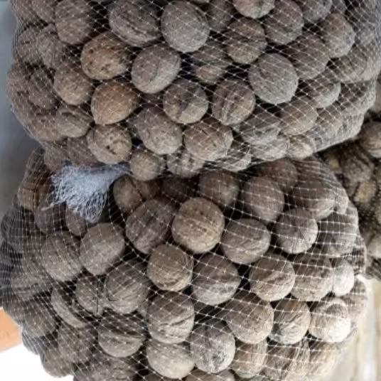 گردو ایرانی ( بسته نیم کیلو )