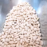 لوبیا سفید اعلا500گرمی ایرانی