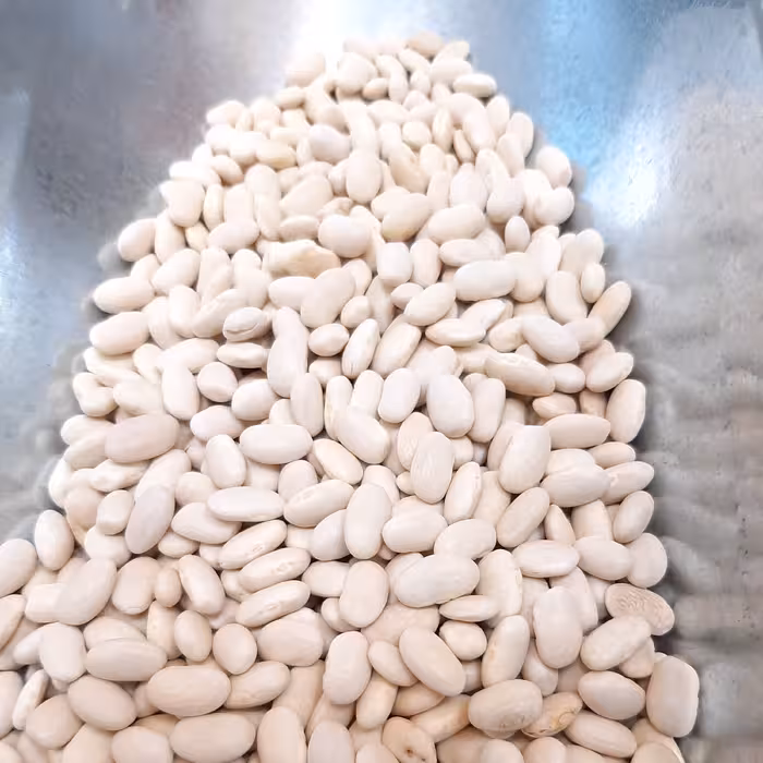 لوبیا سفید اعلا500گرمی ایرانی