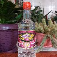 گلاب  طبیعی