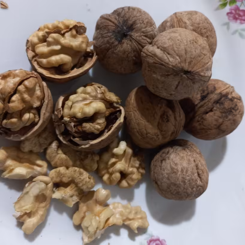 گردو پوست کاغذی تویسرکان