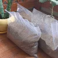 کود گوسفندی پوسیده