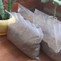 کود گوسفندی پوسیده