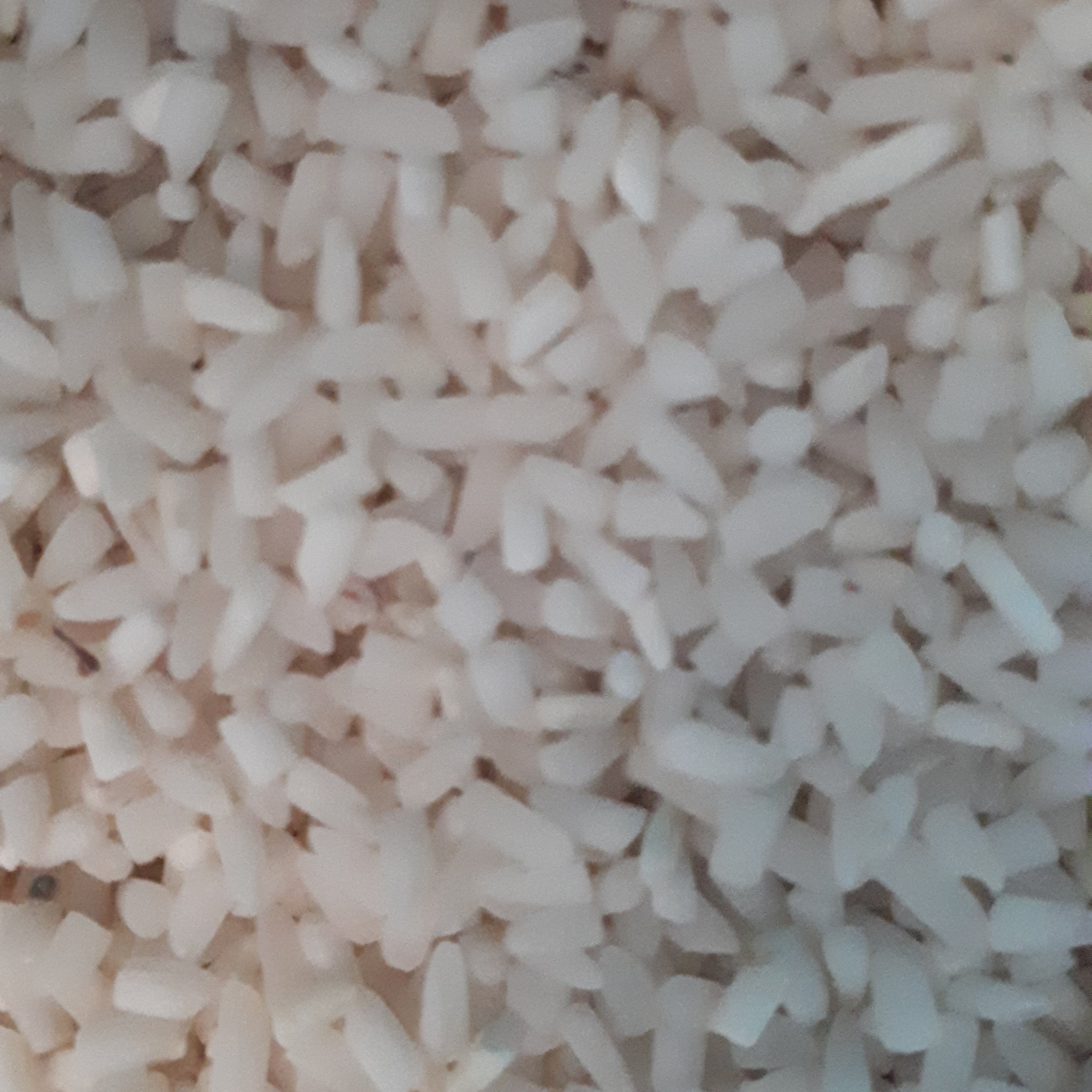 برنج لاشه طارم استخوانی شیرودی سورت شده سودشت از فریدون کنار (20کیلوگرم)