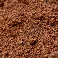 سماق قرمز 4 کیلویی (پس کرایه)