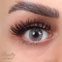 لنز رنگی فصلی بیوتی 500 ساعته شماره 6 مدل NOB210 رگه دار خاکستری روشن