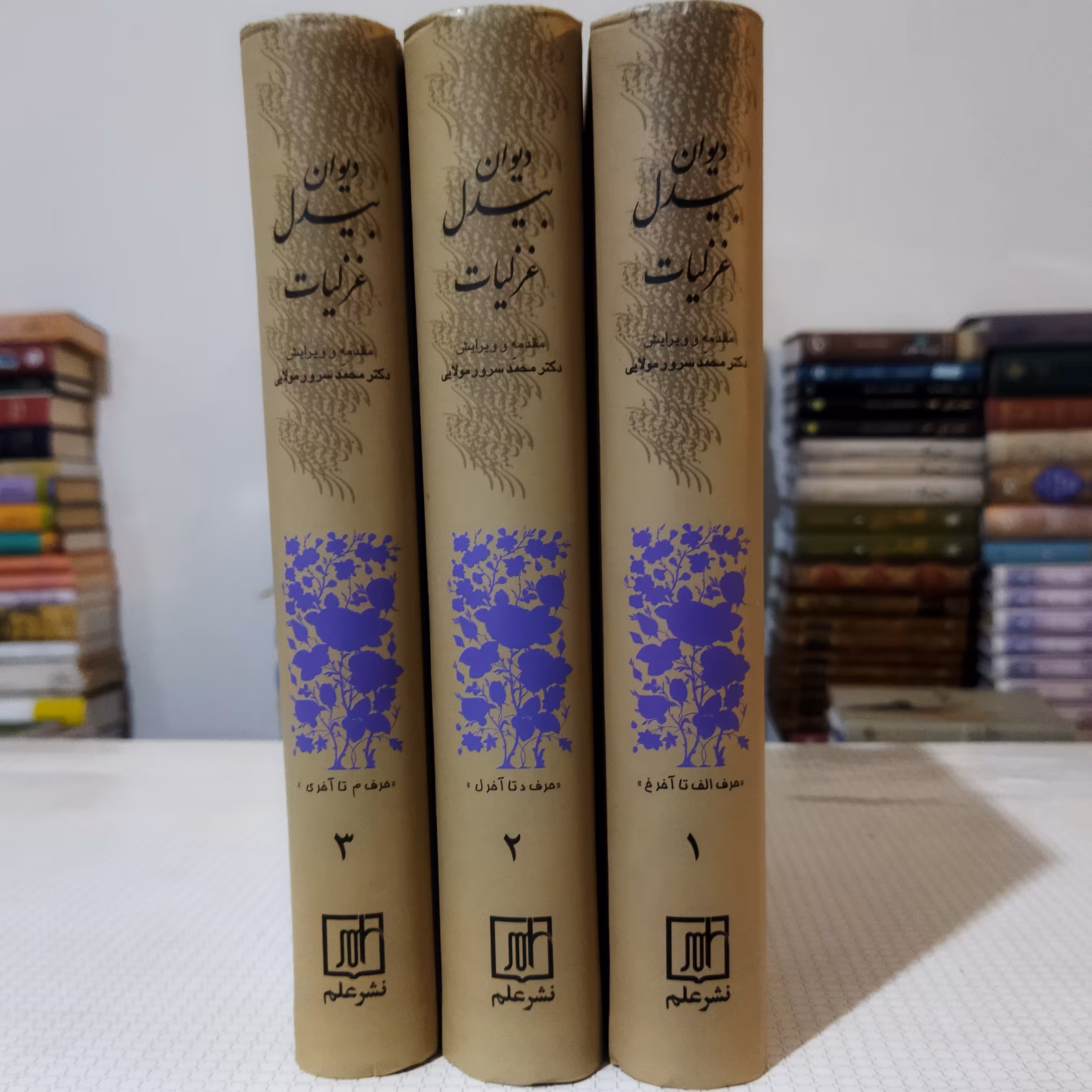 دیوان بیدل ، غزلیات (دورهٔ 3 جلدی ) محمد سرور مولایی