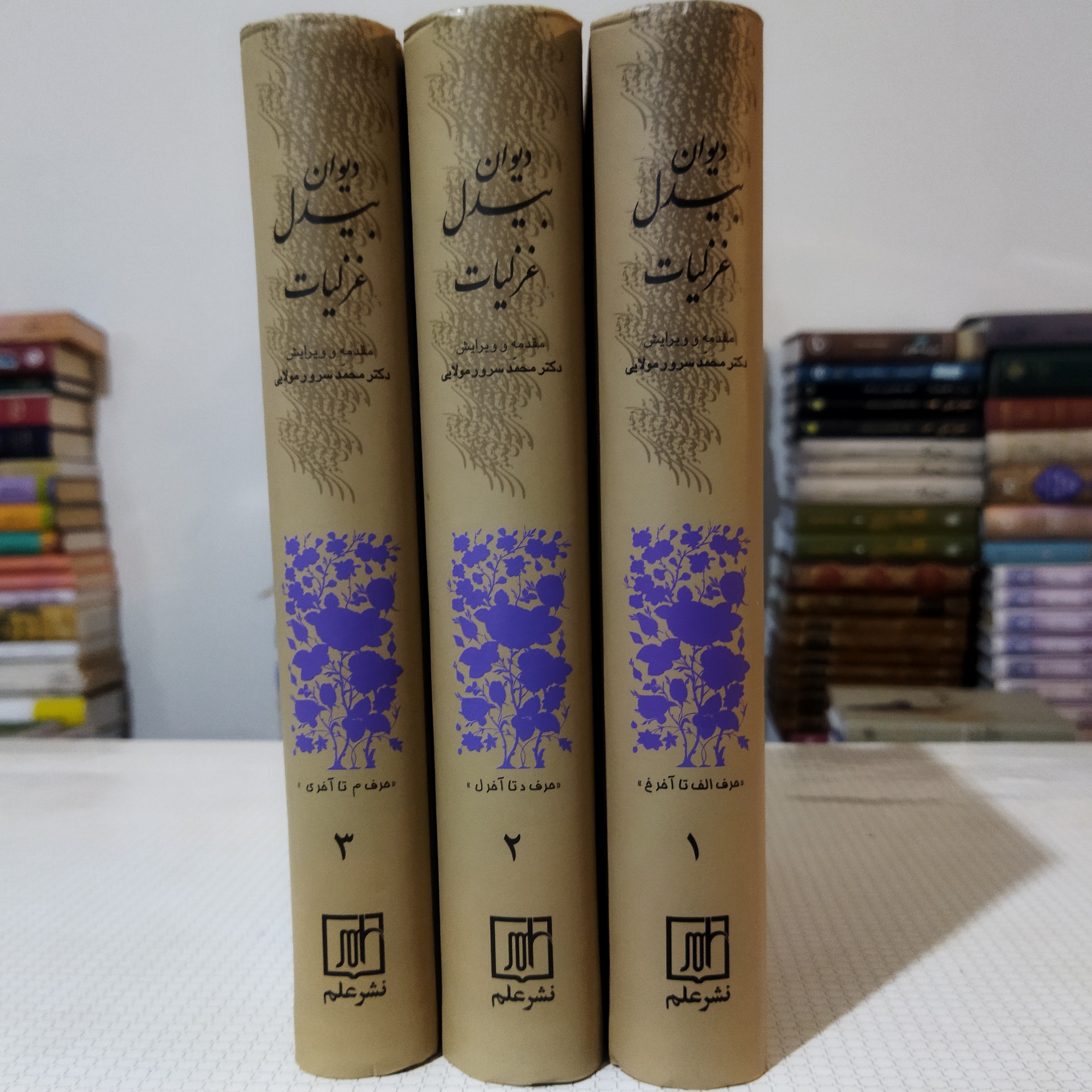 دیوان بیدل ، غزلیات (دورهٔ 3 جلدی ) محمد سرور مولایی