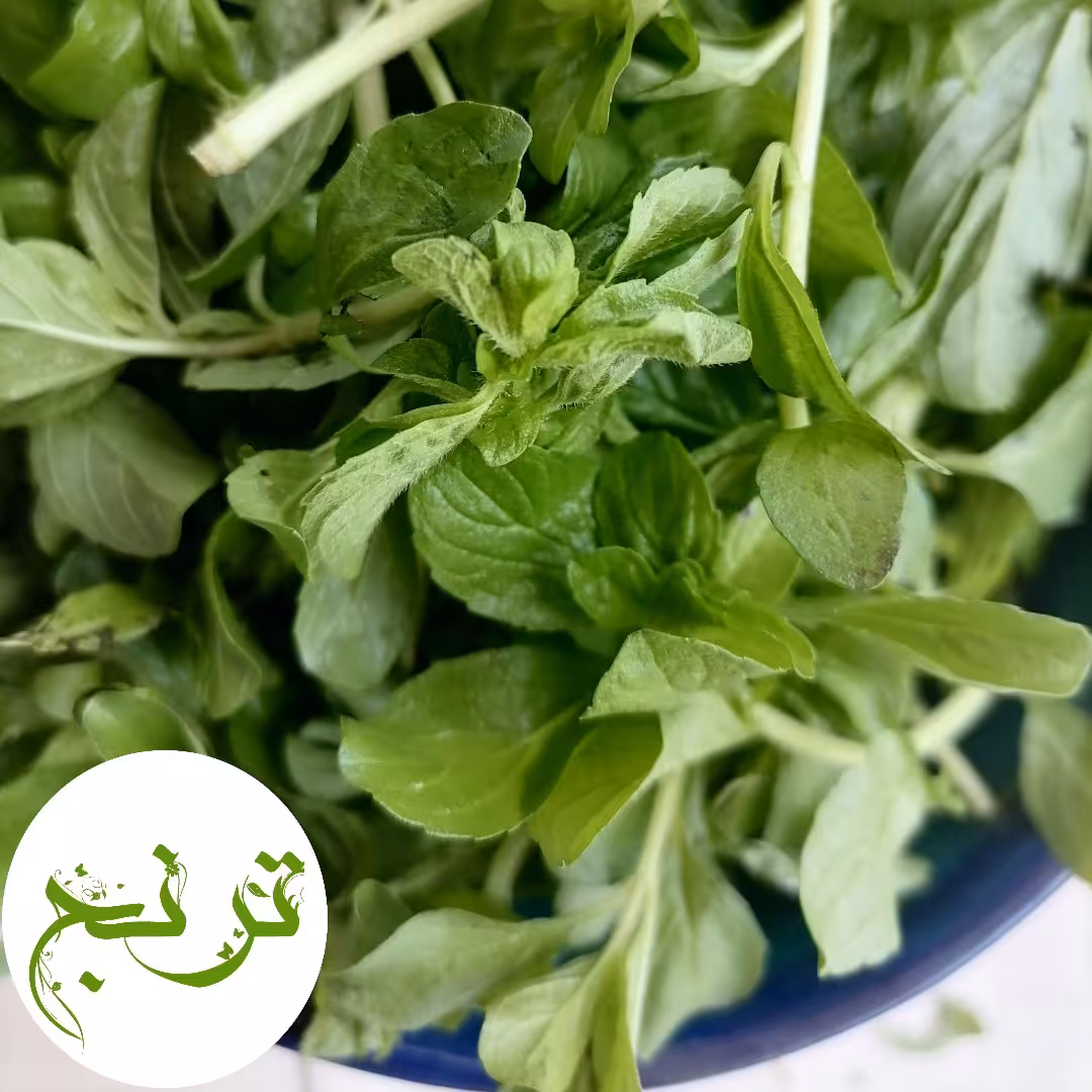 خالیواش خالواش کوتکوتو100 گرمی تازه و خوش عطر 

