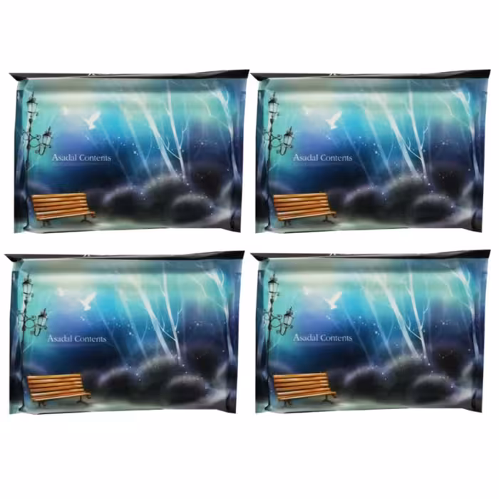 دستمال کاغذی جیبی 10 برگ مدل صندلی مجموعه 4 عددی