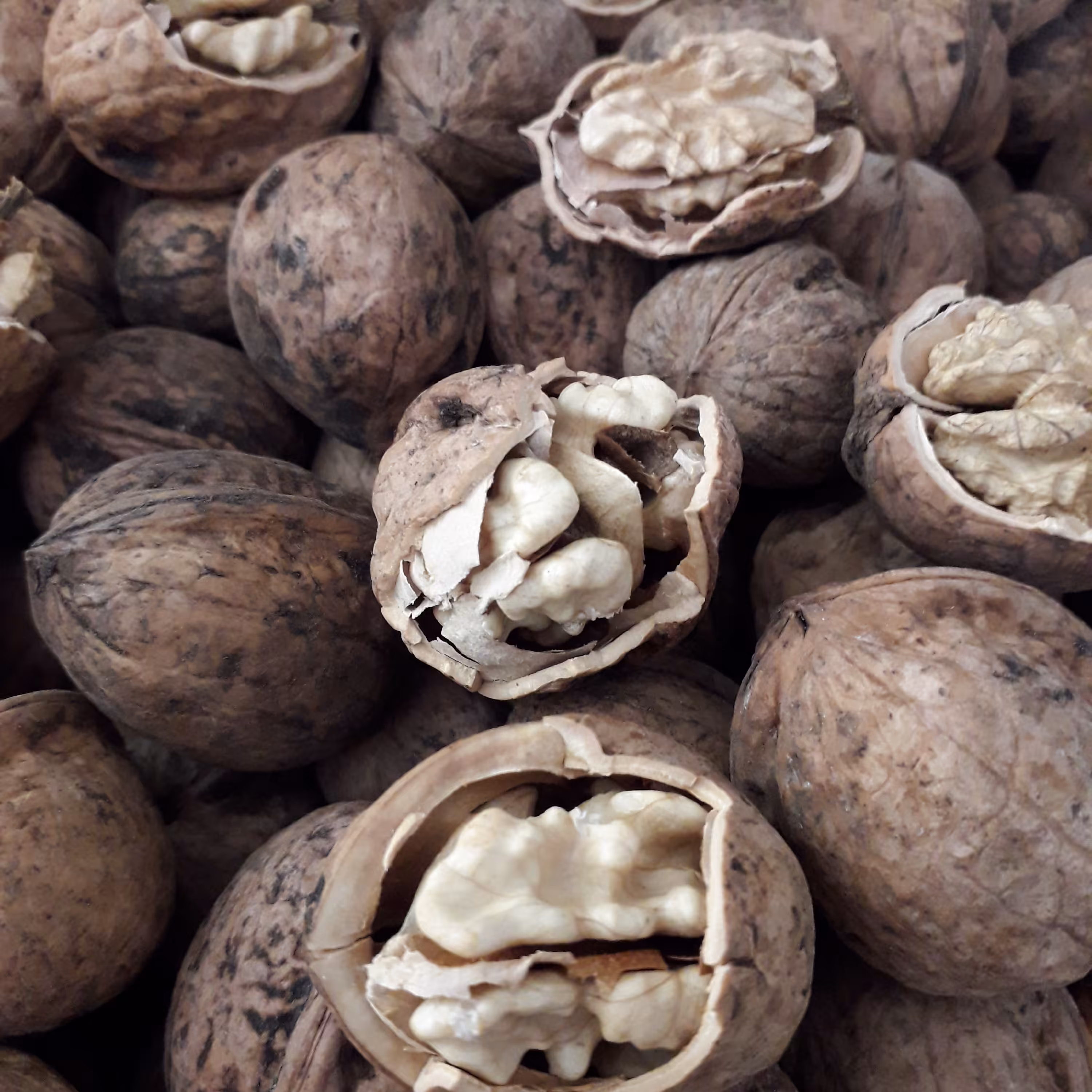 گردو  مغز سفیدتویسرکان مخلوط درشت  متوسط و ریز 4کیلویی