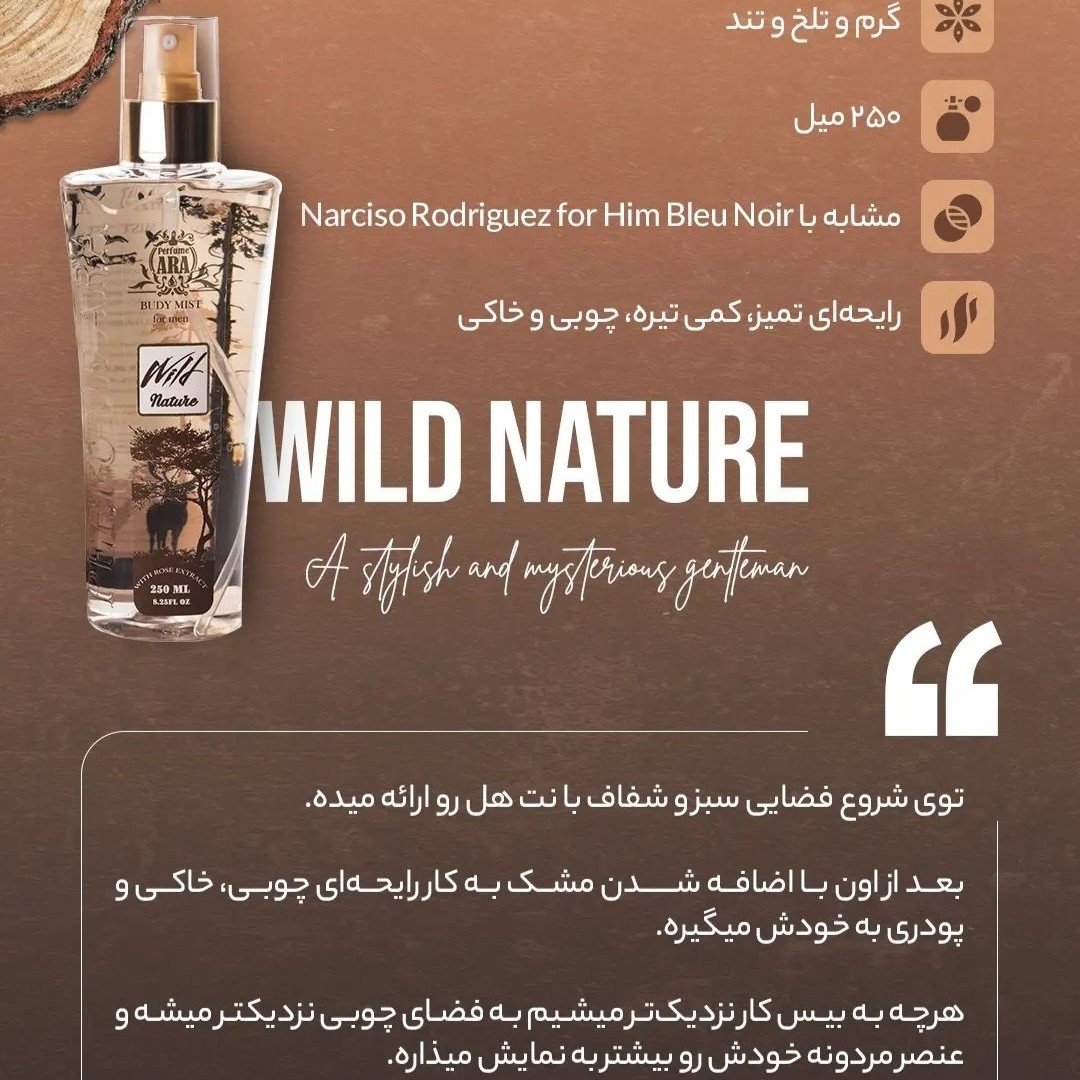 بادی میست یا بادی اسپلش مردانه با ماندگاری 24 ساعته 250 میل