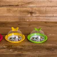 ظرف کره خوری یک عددی