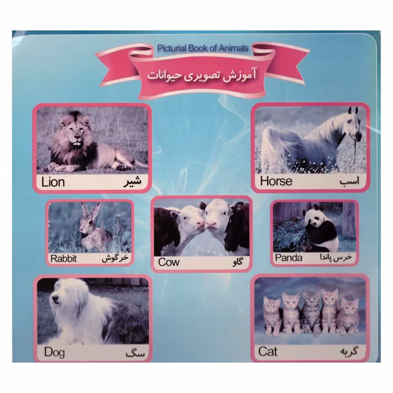 کتاب آموزش تصویری حیوانات 