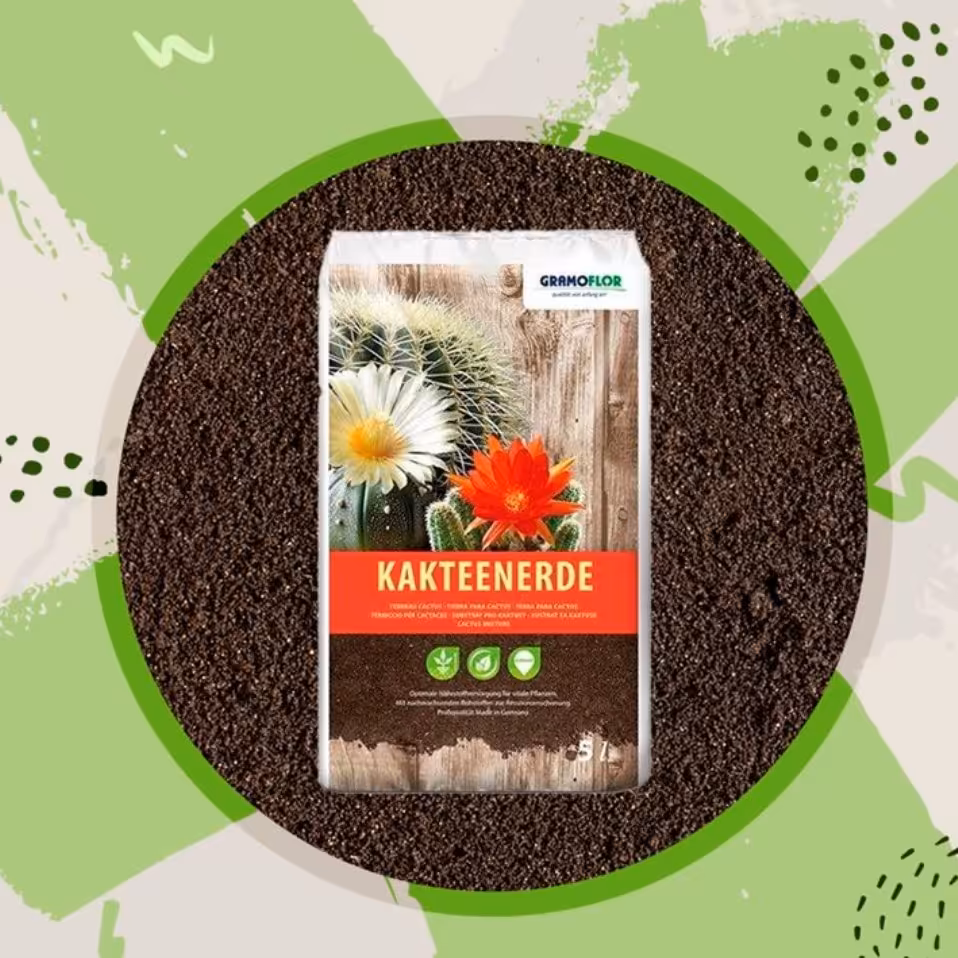 خاک کاکتوس گرامافلور مدل GK5 با حجم 5 لیتر