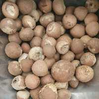 فوفل - 500 گرم
