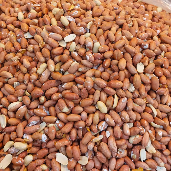 مغز بادام زمینی آستانه درجه یک و عالی محصولی از شهر آجیلی ایران فاروج 