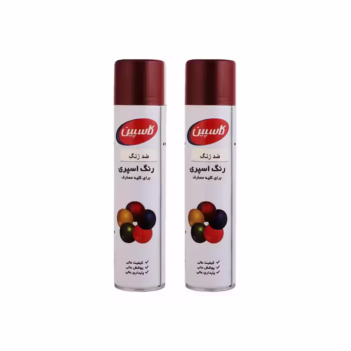 اسپری ضد زنگ اخرایی کاسپین مدل Professional حجم 300 میلی لیتر مجموعه 2 عددی