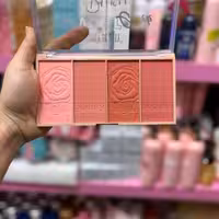 پالت رژ گونه