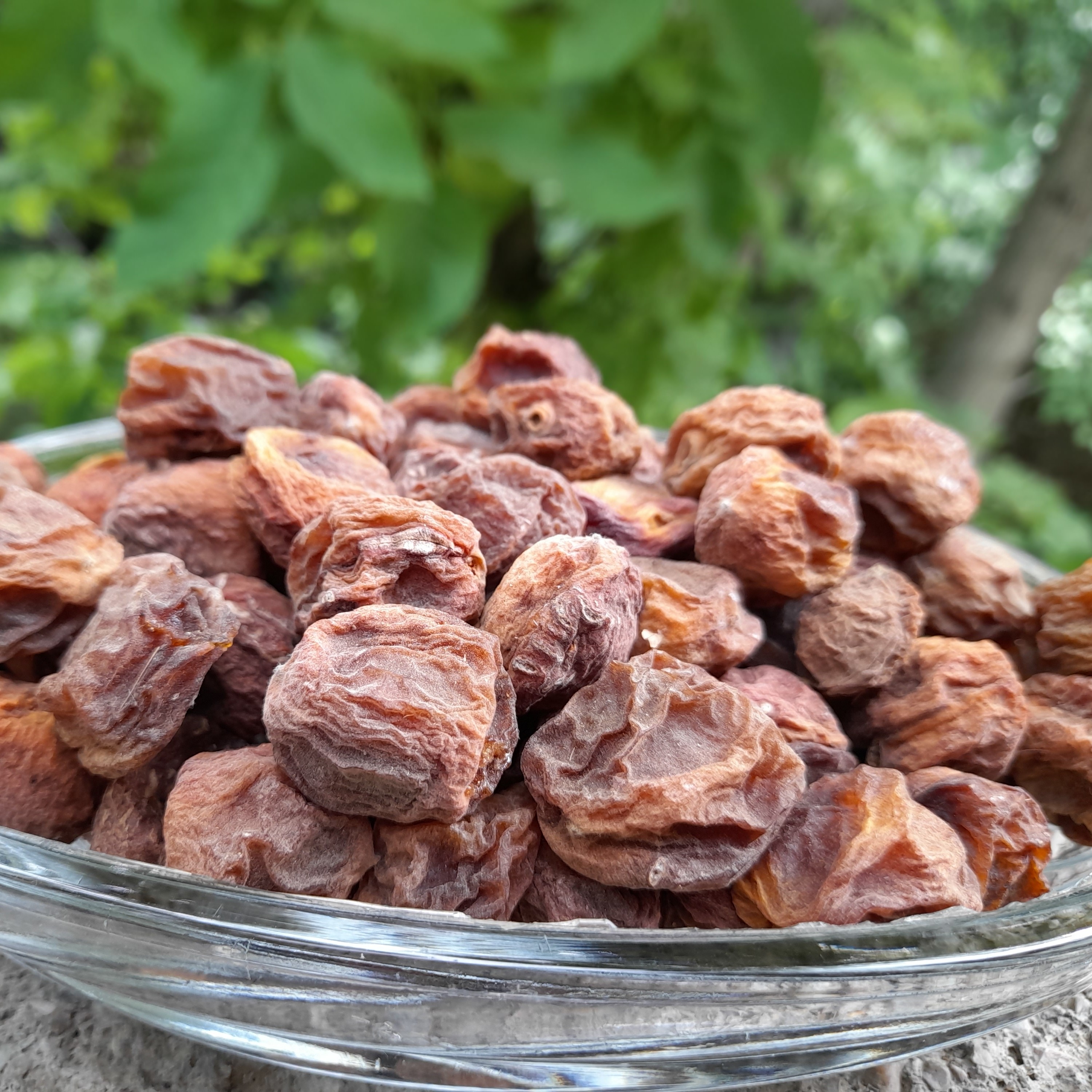 زردآلو شیرین پلویی آفتاب خشک