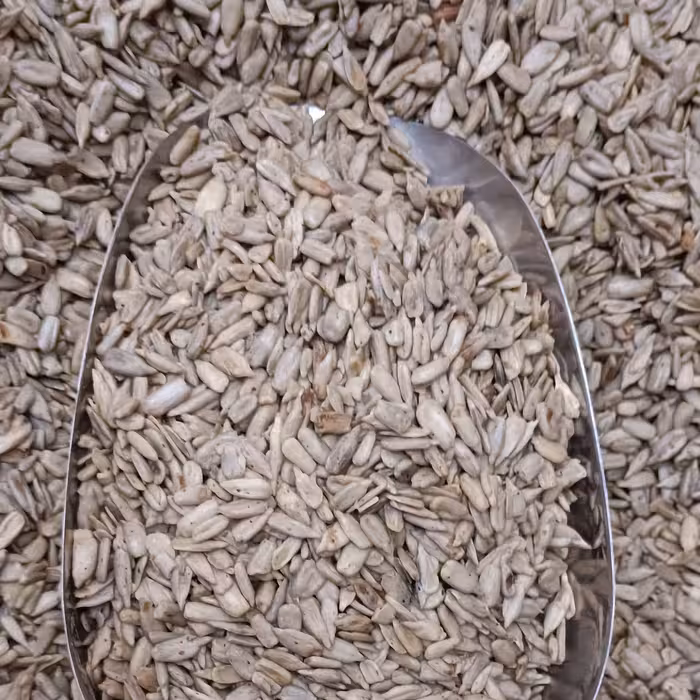 مغز تخمه آفتابگردان بو داده شور نیم کیلویی آجیل و خشکبار مهران 