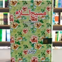 کتاب مسیح اسلام داستان هایی از فضائل امام علی در منابع اهل سنت جلد سخت انتشارات جمکران
