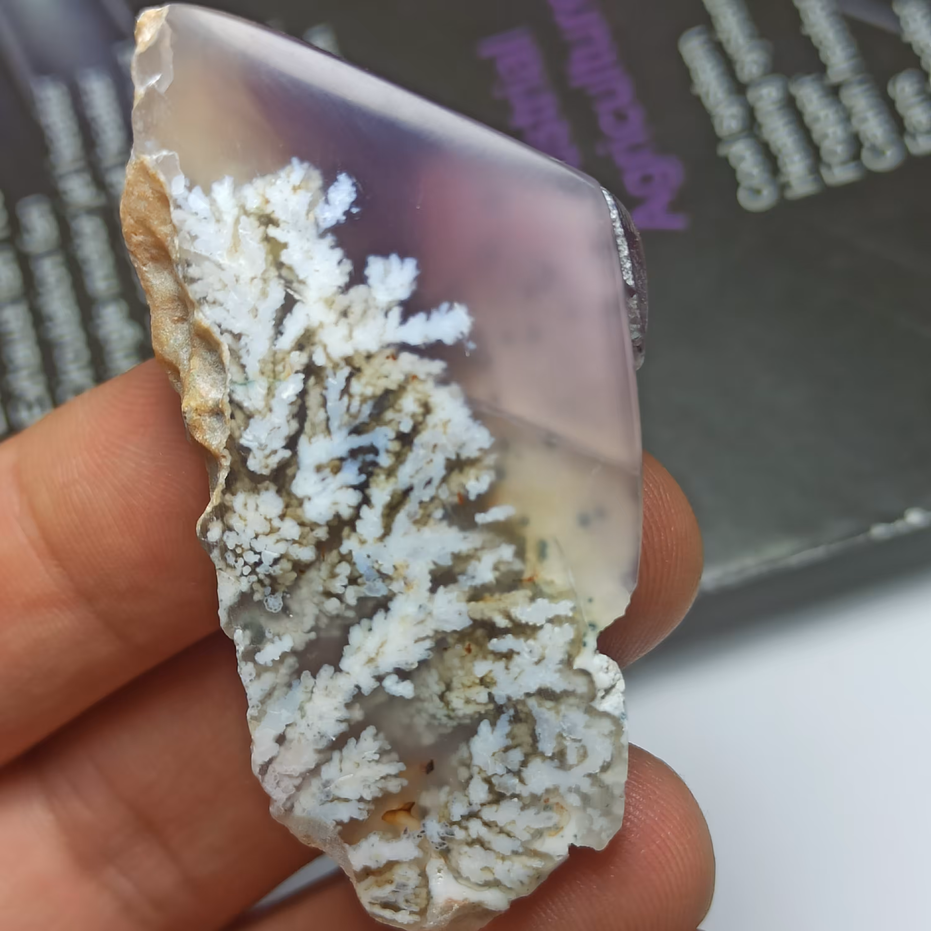 شجر شکوفه بهاری با گل‌های سفید و عقیق سوسنی 