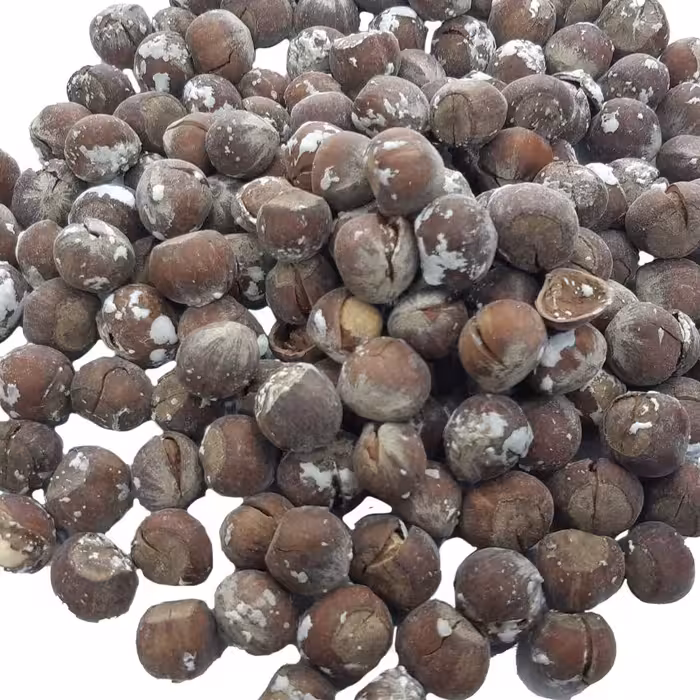 فندق بو داده نمکی الموت قزوین 100 گرمی