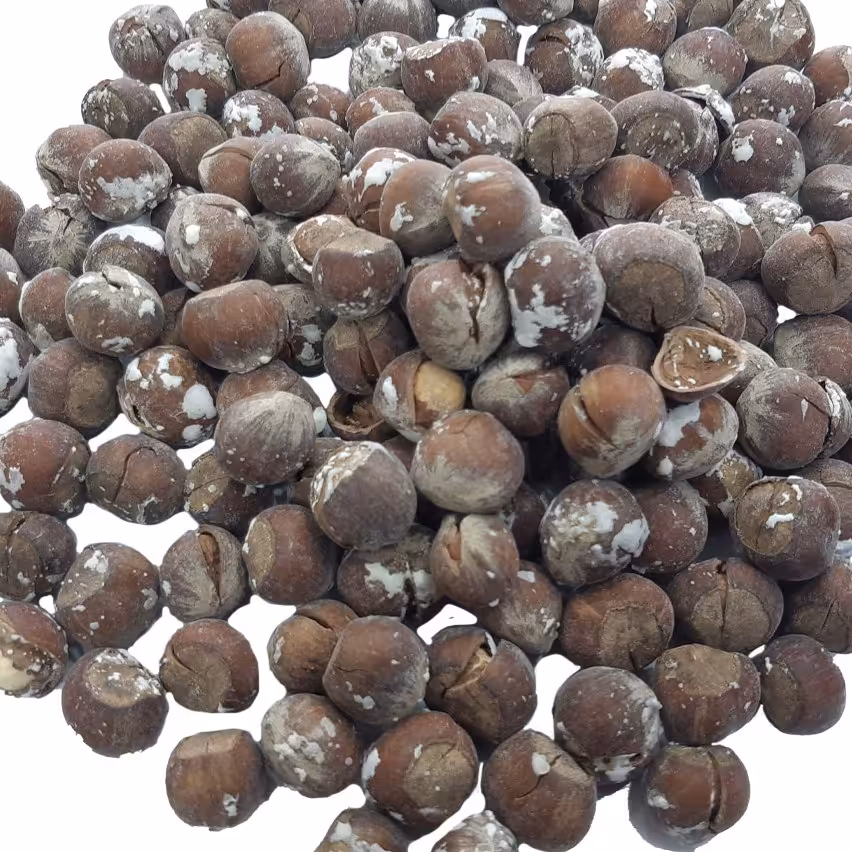 فندق بو داده نمکی الموت قزوین 100 گرمی