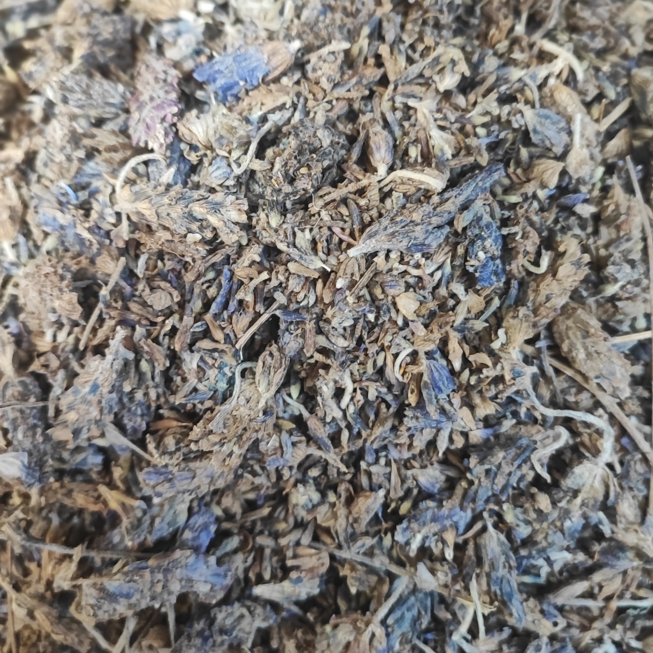 اسطوخدوس lavender لاوندر