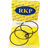 رینگ موتور پراید یورو4 پارس سایپا استاندارد