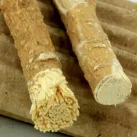 مسواک سواک  
