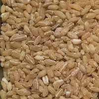 گندم پوست کنده اهوازی مخصوص حلیم