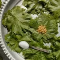 برگ مو  شور بزرگ 2عددی با کیفیت( بدون سم زدگی و نگهداری با کمی نمک)